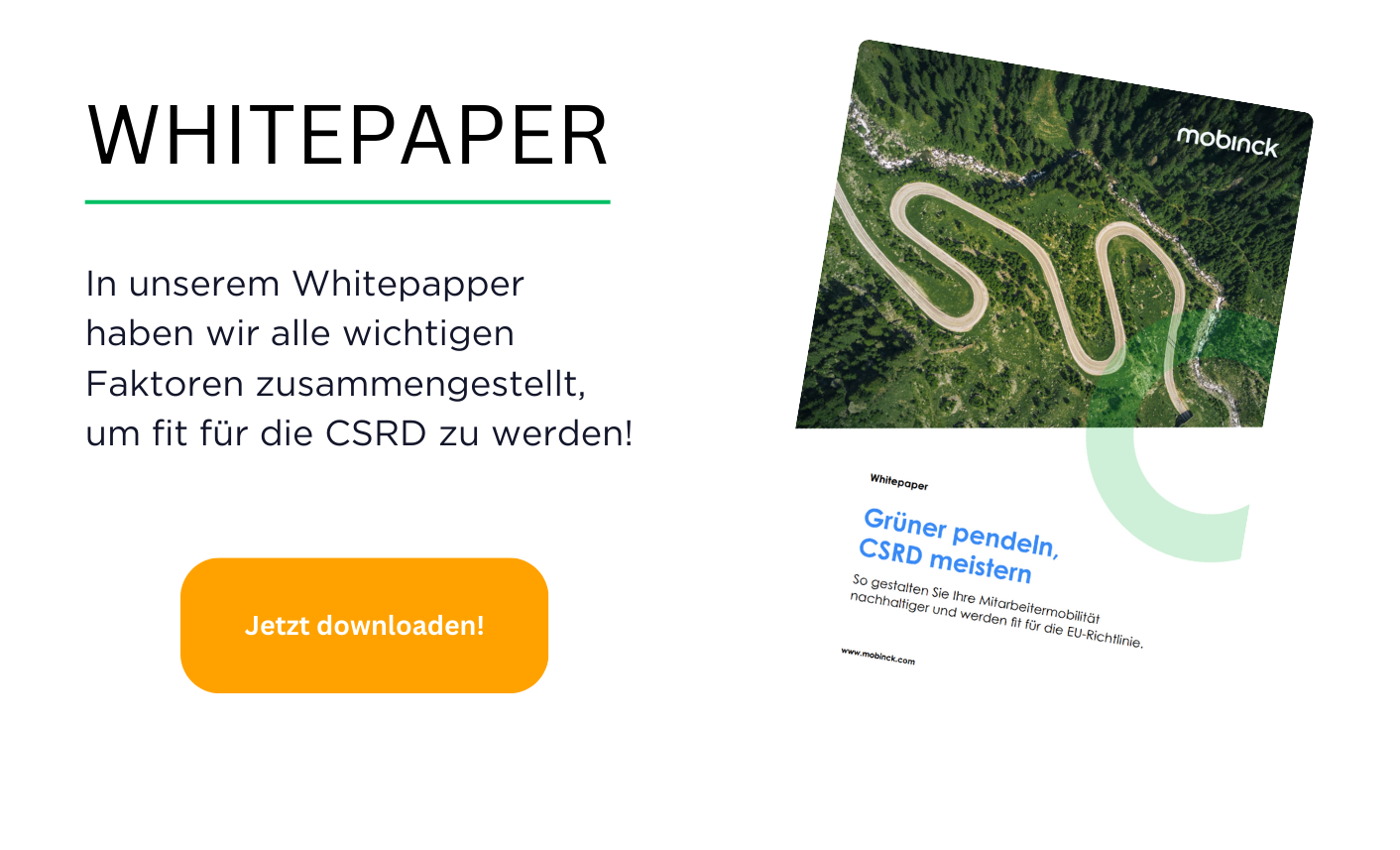 Whitepaper CSRD